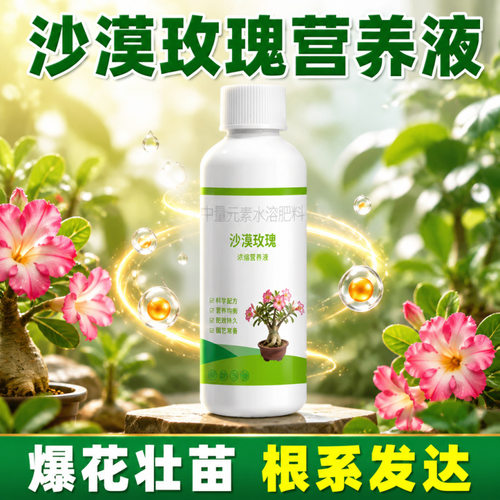 沙漠玫瑰免稀释营养液促生长开花