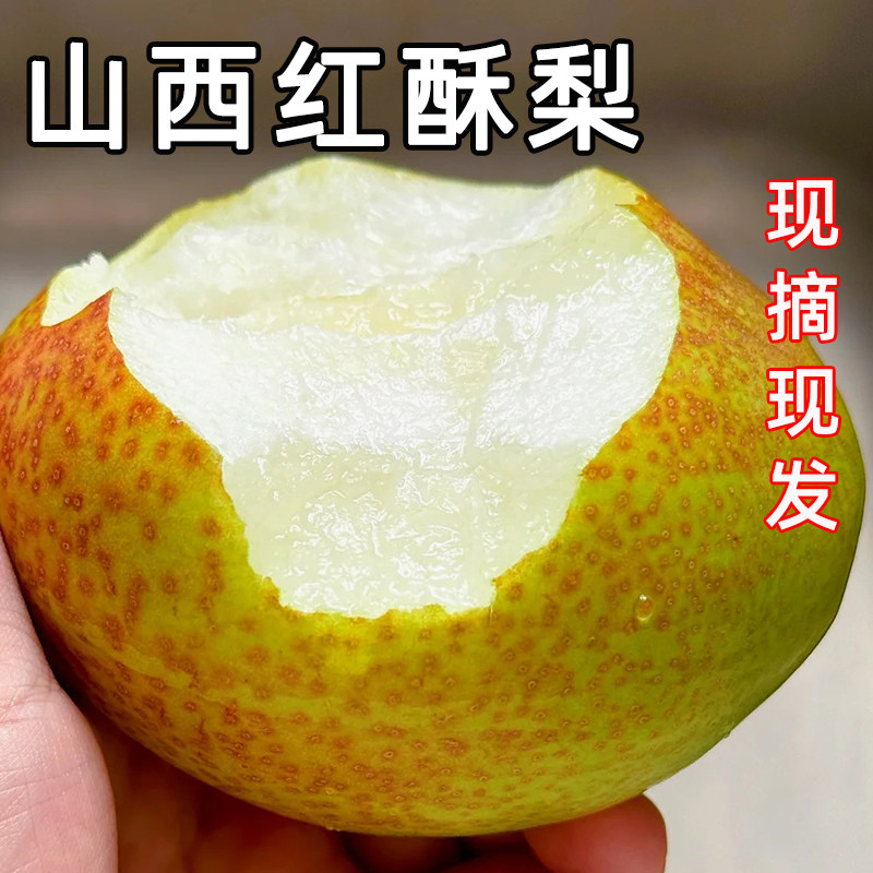 山西正宗红香酥梨水果新鲜整箱当季包邮薄皮青酥梨脆甜蜜雪梨梨子