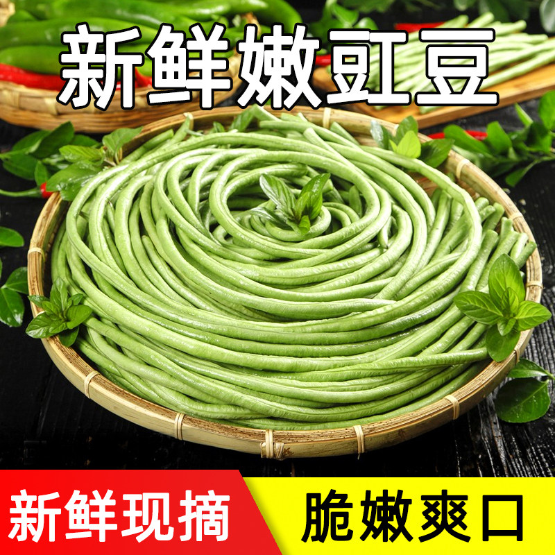 现摘豇豆新鲜嫩农家自种当季蔬菜无筋长豆角青豆角可腌制酸豆角