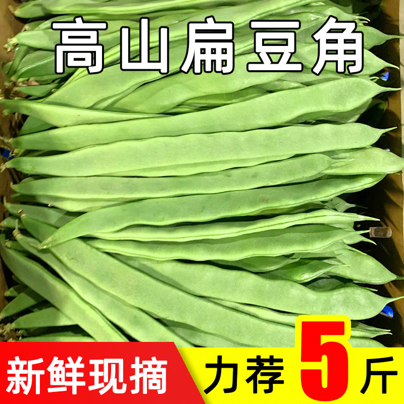 新鲜蔬菜长扁豆角云南高山扁豆现摘长四季豆角农家芸豆菜豆整箱