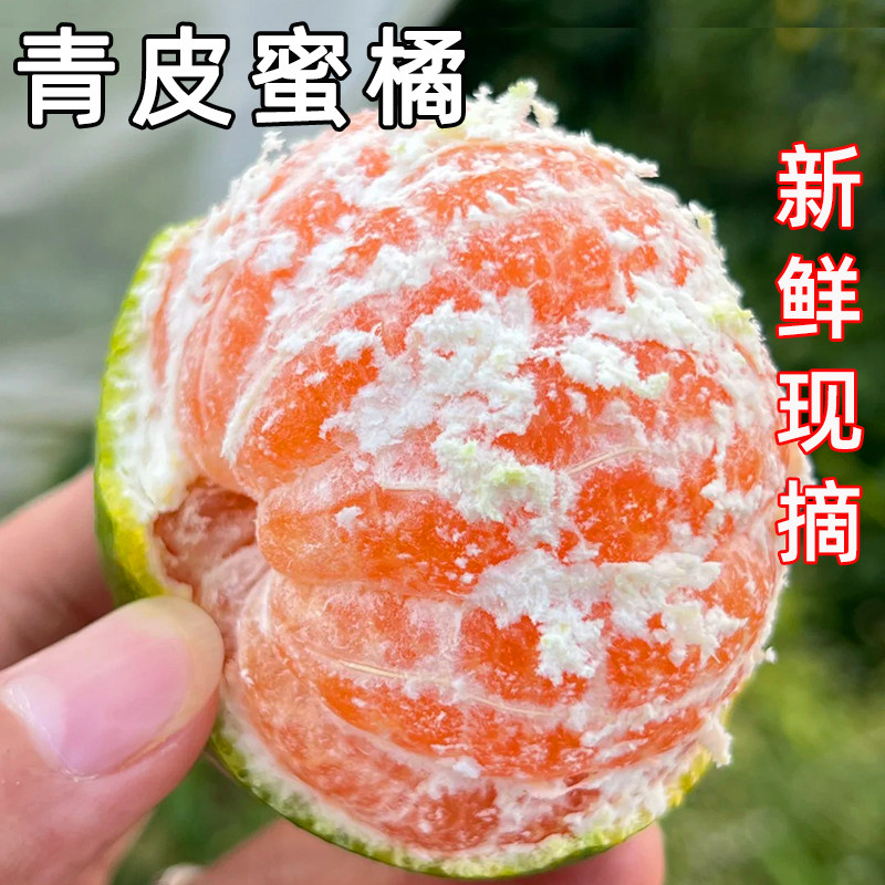 新鲜现摘青皮蜜桔酸甜时令水果应当季整箱包邮云南丑柑薄皮蜜橘子