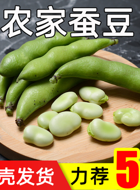 蚕豆胡豆新鲜现摘带壳嫩生罗汉豆兰花青豆荚5斤整箱当季蔬菜豆角