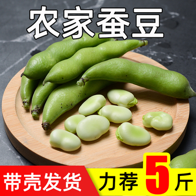 蚕豆胡豆新鲜现摘带壳嫩生罗汉豆兰花青豆荚5斤整箱当季蔬菜豆角