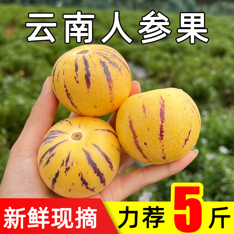 新鲜人参果云南石林人叁果圆果人生果娃娃果七彩黄肉水果现摘整箱