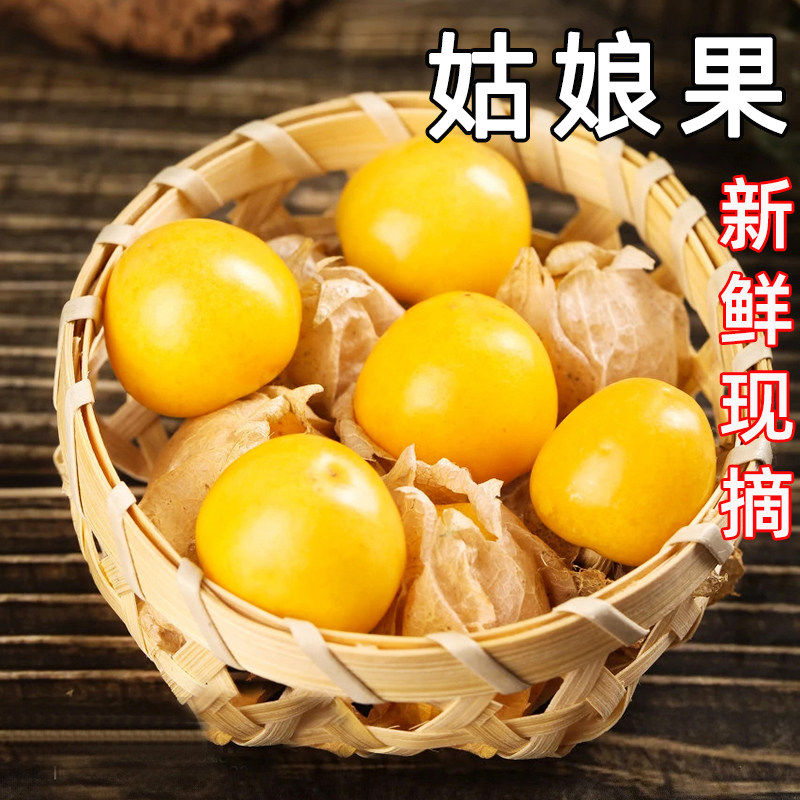 新鲜现摘东北姑娘果菇整箱菇娘果