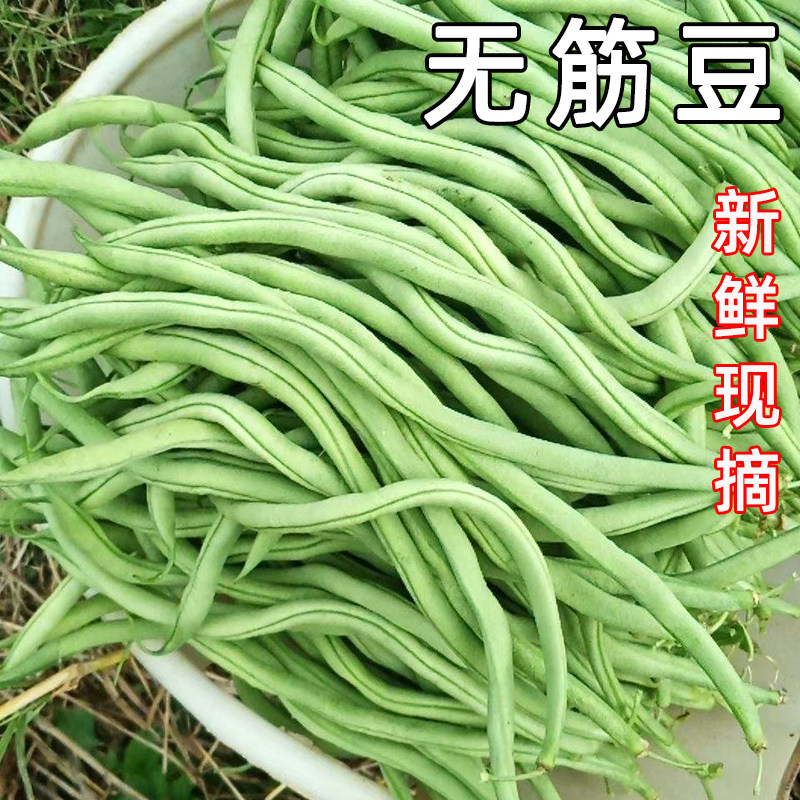 1�� ������ժ�޽�ܶ������ǵ���ũ��¶���߲��ļ���ܿ�������붹����