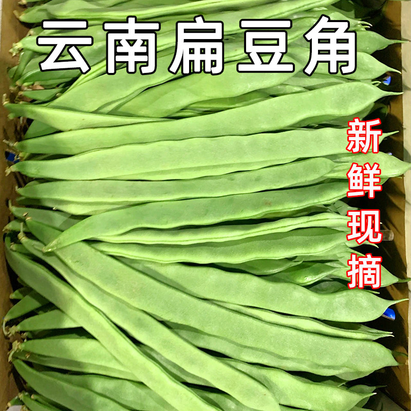 四季豆新鲜现摘云南农家扁豆角