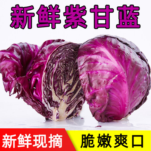 新鲜包菜生菜蔬菜紫甘蓝