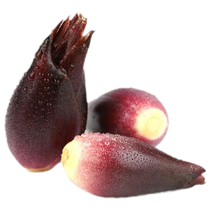 新鲜现摘阳荷斤洋霍儿蔬菜