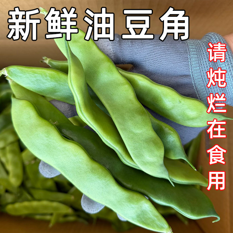 云南油豆角新鲜现摘正宗青扁