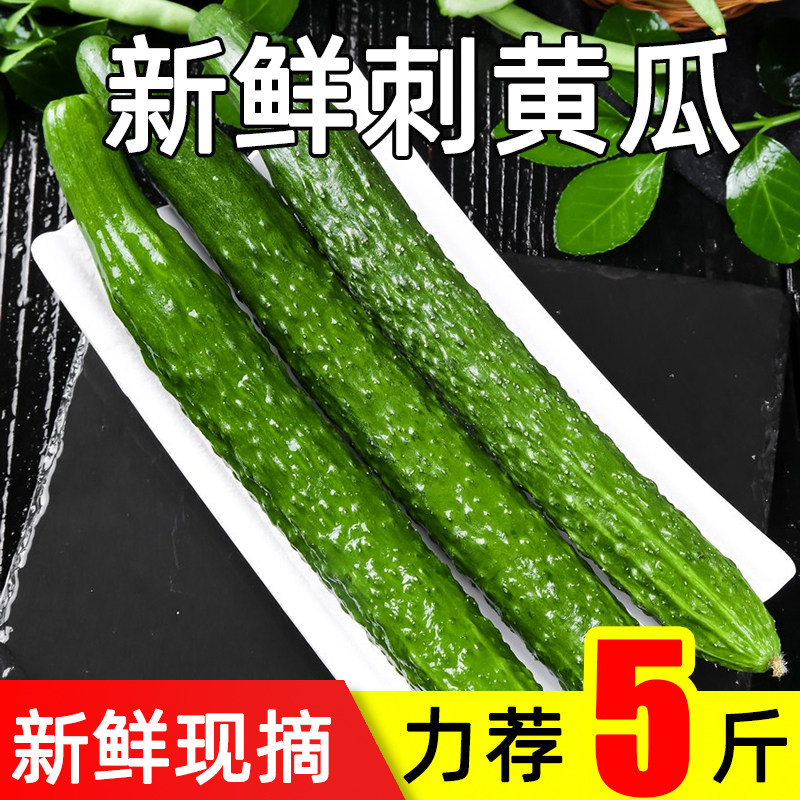 长黄瓜新鲜现摘农家刺青绿瓜蔬菜水果长条生吃脆甜旱黄瓜5斤整箱