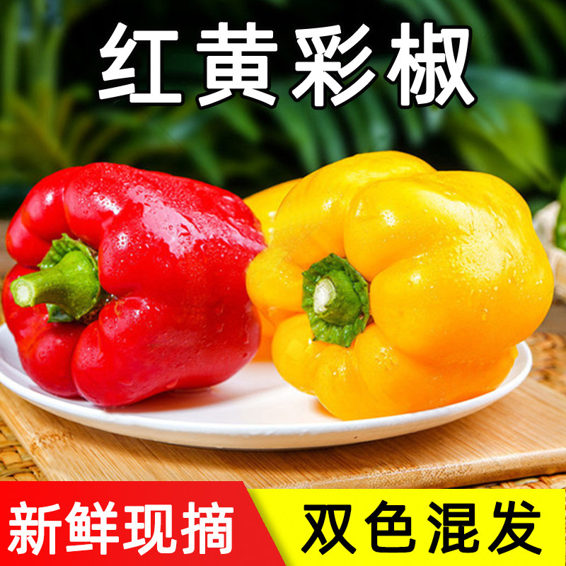 新鲜现摘太空椒彩椒红黄混发五彩灯笼椒双色生吃蔬菜水果圆椒甜椒