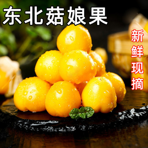 新鲜姑娘东北黄菇灯笼特大
