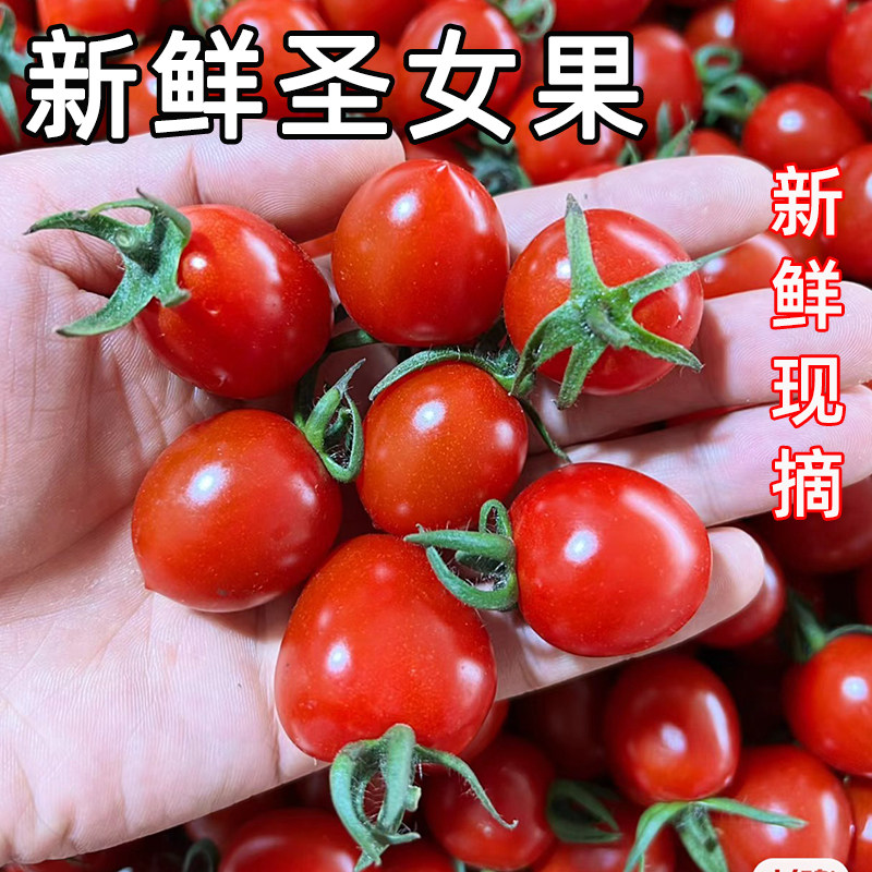 现摘小番茄新鲜圣女果酸甜生吃水果当季蔬菜柿子千禧蔬菜自然熟,水产肉类/新鲜蔬果/熟食,番茄,淘宝优惠券,粉丝福利购,淘宝优惠卷