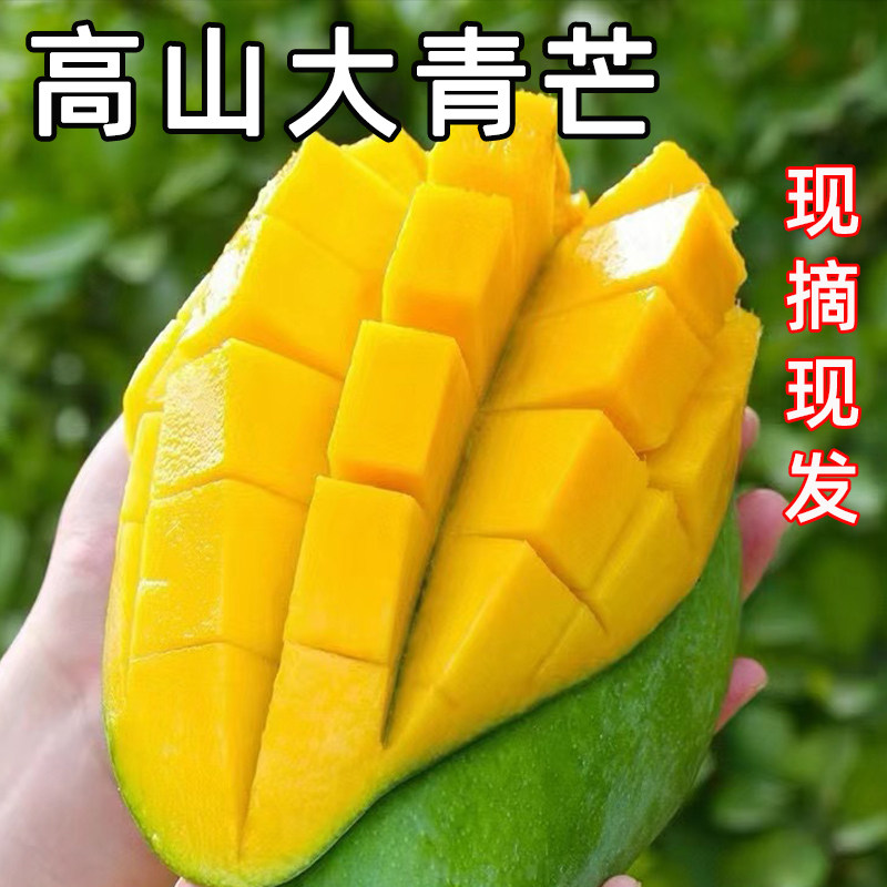 现摘大青芒青皮芒果新鲜当应季大青皮金煌甜心芒水仙水果9斤整箱