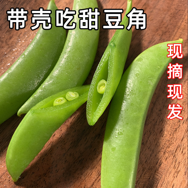 云南甜豆角新鲜现摘带壳吃5斤青豆鲜豆荚甜豌豆荷兰豆角新鲜蔬菜