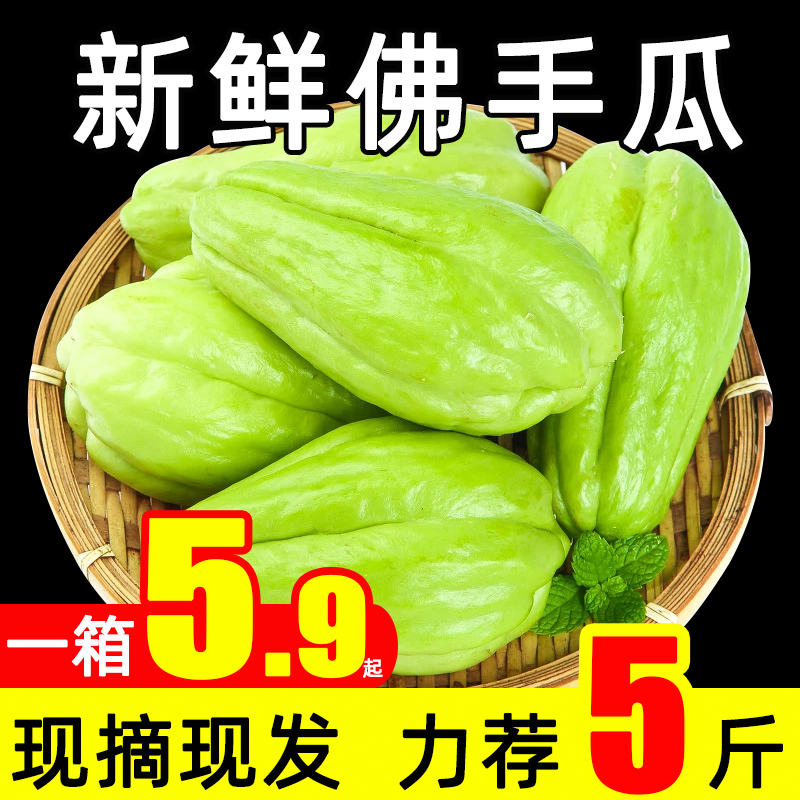 新鲜现摘佛手瓜5斤葵蔬菜