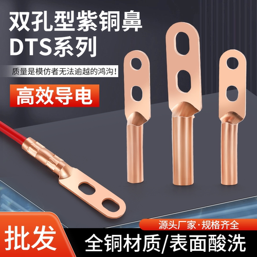 DTS双孔铜鼻子双洞线鼻子铜接头