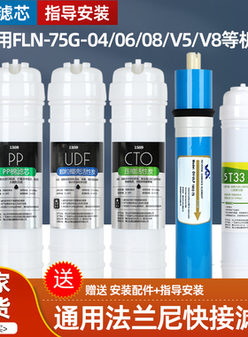 通用法兰尼净水器滤芯FLN-75G-04/06/08/V5/V8/400G-A40快接滤芯