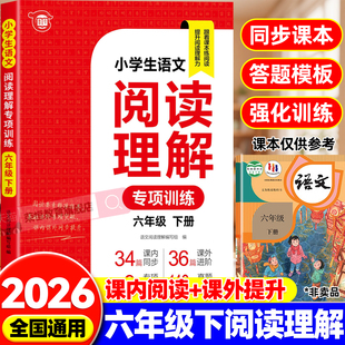 六年级下册阅读理解专项训练书每日一练配套人教版 小学语文课外阅读强化训练题小学生6年级小升初总复习必刷题文言文寒假下学期