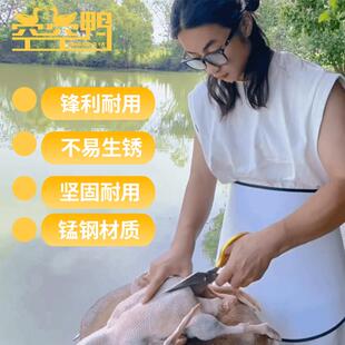 空空鸭同款 家用商用大号家禽剪子手工传统厨房杀鸡杀鸭强力剪