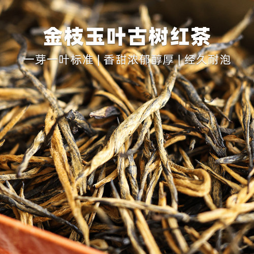 2026年新茶云南滇红茶金枝玉叶金针凤庆老品种古树工夫红茶浓香型