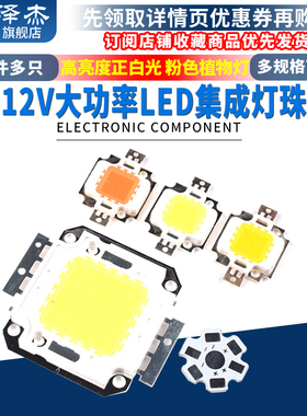 12V大功率LED集成灯珠光源10W20W30W50W高亮度正白色 暖白色 白光