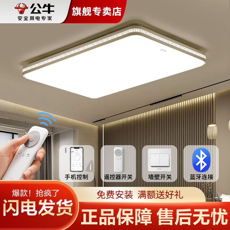 公牛简约现代长方形客厅吸顶灯