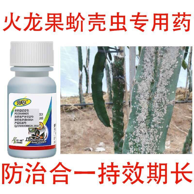 火龙果蚧壳虫专用药火龙果蚧壳虫高效杀虫剂火龙果蚧壳虫强效药