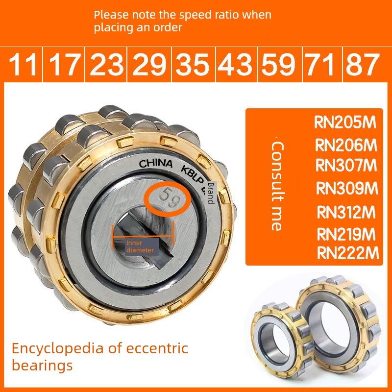 摆动销减速器偏心轴承Rn205 Rn206 Rn307 Rn309 Rn312 m 502205 - 封面