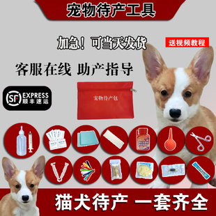宠物狗狗怀孕生产包柯基接生工具用品全套套装待产包幼宠吸羊水器