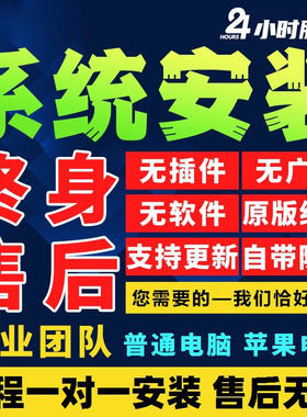 原版win11系统重装专业版 windows10纯净版电脑远程安装更新升级