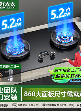 大开孔大尺寸定时猛火灶