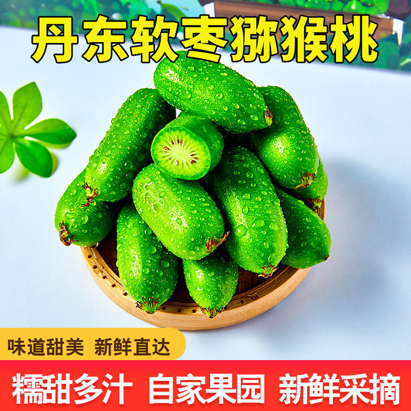 现货丹东新鲜软枣猕猴桃迷你东北特产圆枣子奇异莓