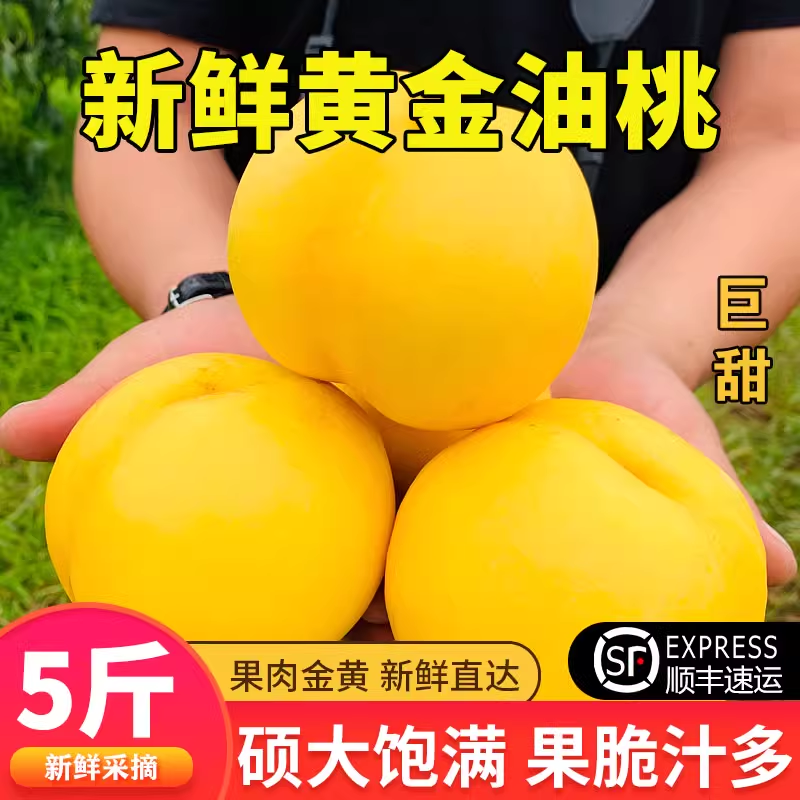【农彩汇】黄金油桃黄金蜜桃黄油桃芒果桃孕妇时令应季新鲜顺丰
