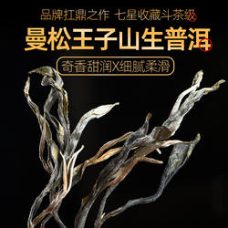 七星级2024年头春云南勐腊倚邦曼松贡茶王子山小叶种普洱茶生茶散