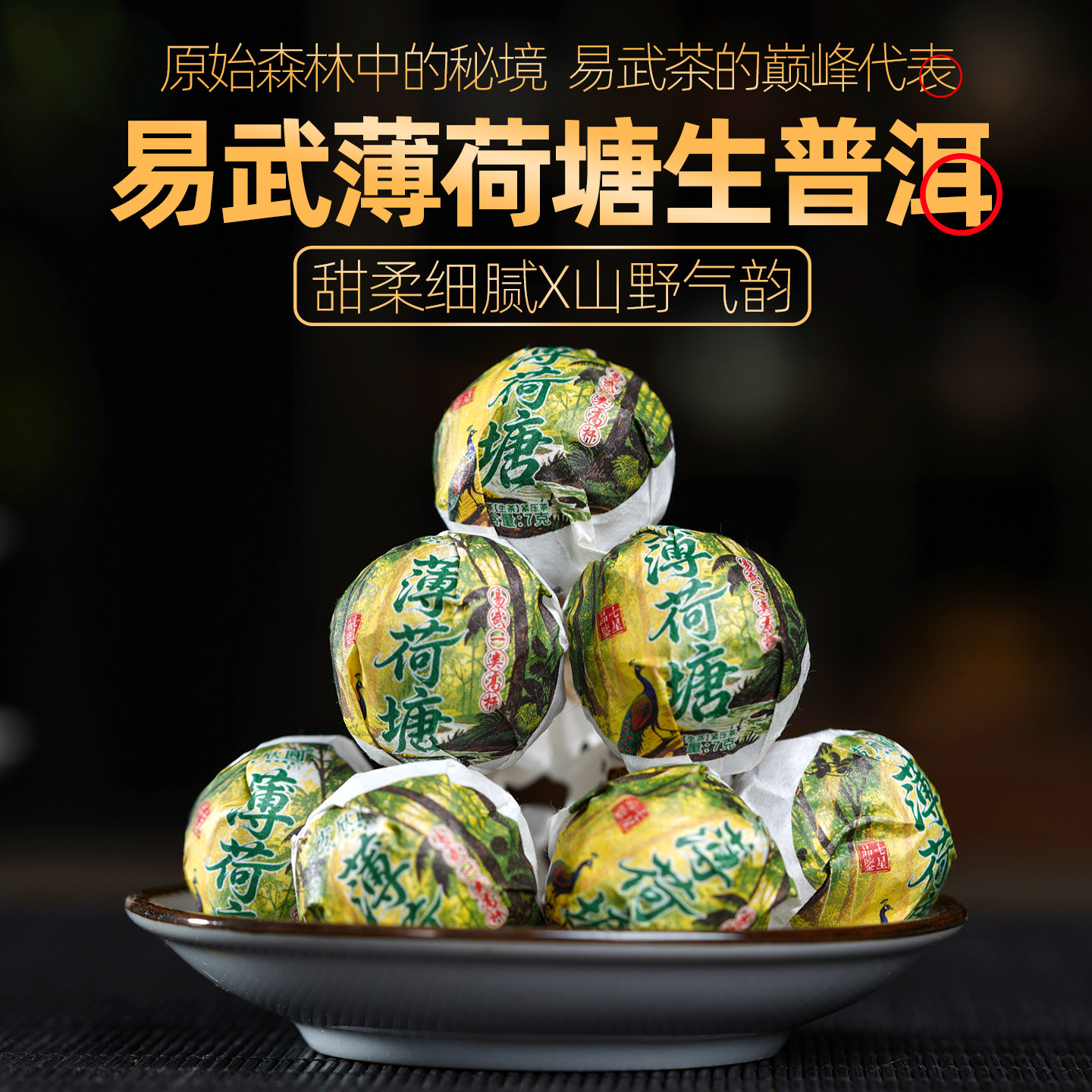 云南易武薄荷塘高杆古树纯料生普