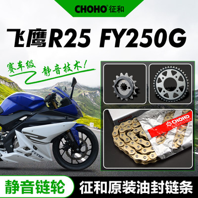 飞鹰R25FY250G征和静音油封套链