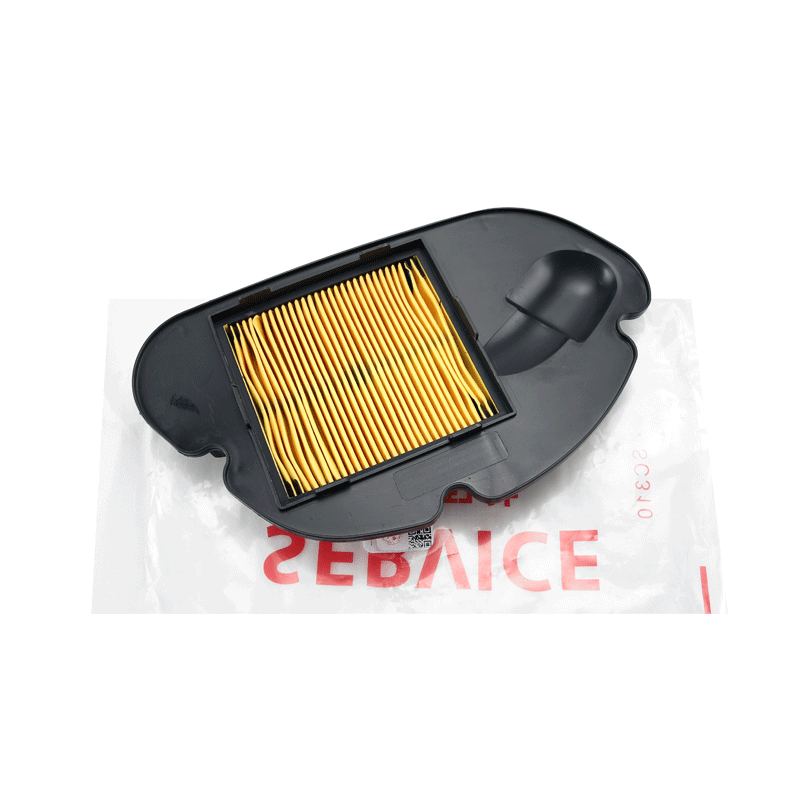 原装QJMOTOR鸿125空气滤芯