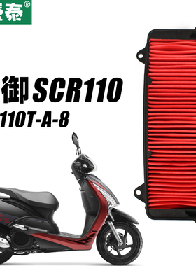 五羊本田踏板摩托车新佳御甲鱼WH110T-A-8国三国四空气格滤芯空滤