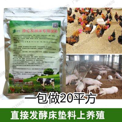 养殖发酵床菌种猪牛鸡鸭兔蛇除臭垫料专用益生菌异位发酵床em菌种