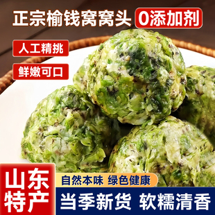 榆钱窝窝头新鲜现摘蒸菜团子杂粮花馍儿童花样馒头各种半成品美食