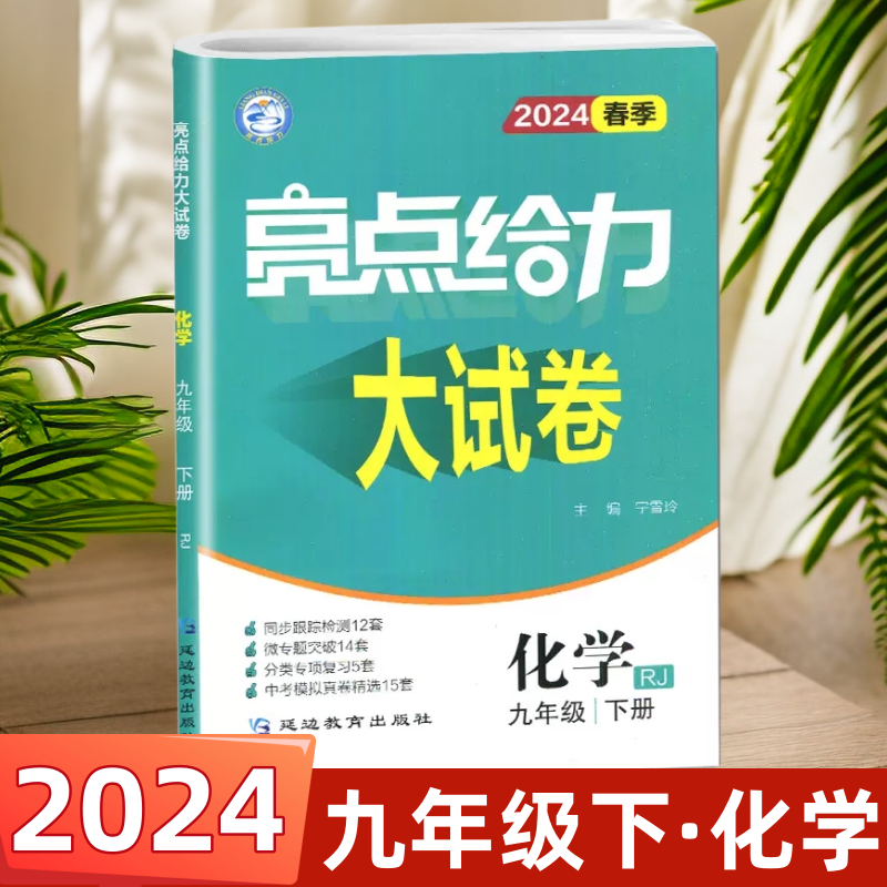 正版包邮 2024版亮点给力大试卷九年级化学下9下册化学全国版人教版初中教辅同步跟踪检测分类专项复习卷各地期末试卷精选大试卷