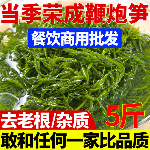 鞭炮笋马尾藻长寿菜海草火锅食材