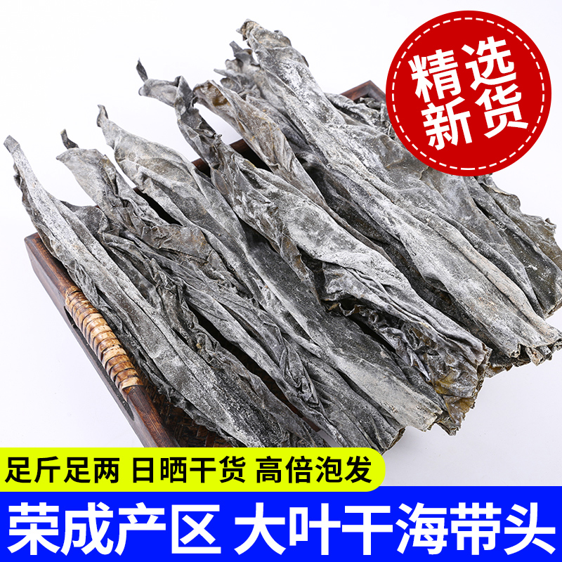 新货海带头干货淡干海带根无加盐非特级厚威海特产晒干海带500g