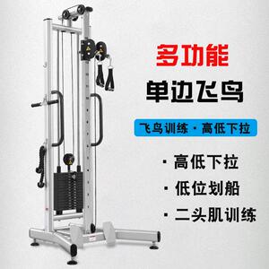 单边飞鸟龙门架训练器高拉低拉一体家用健身多功能综合力量训练架