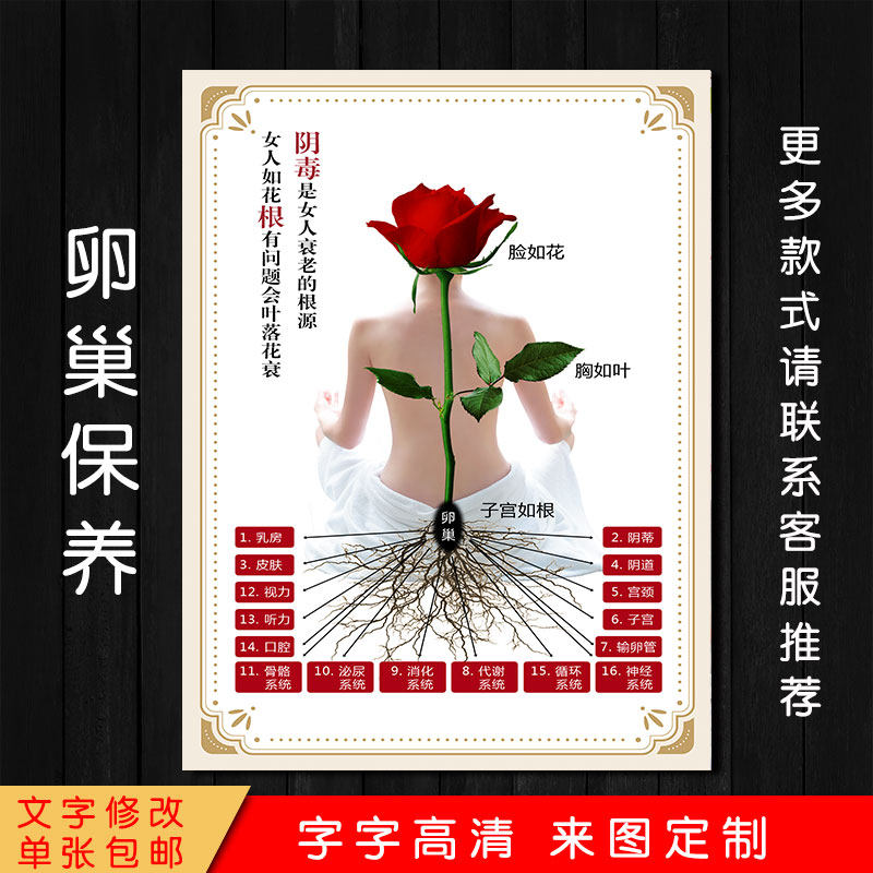 卵巢保养海报宣传图美容院产后护理修复挂画图片墙壁画广告图墙贴