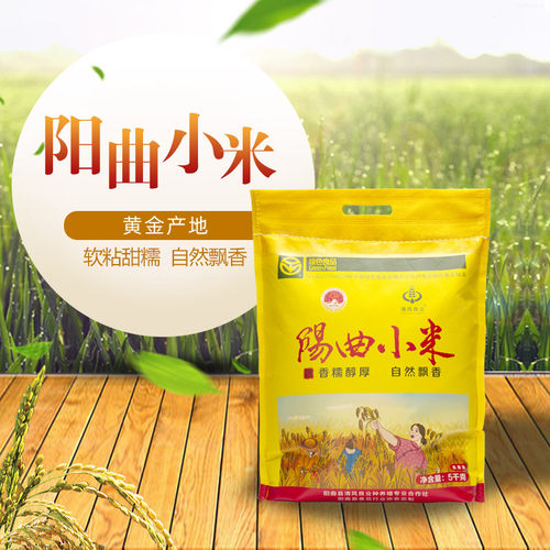 阳曲小米5000g十斤装黄小米粥小黄米新米山西特产2025新米