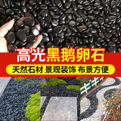 50斤黑色精抛户外庭院鹅卵石铺路雨花石挡土石造景排水沟天然石头