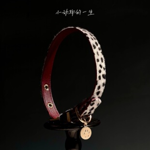 豹纹项圈女秋冬高级感辣妹锁骨链y2k甜酷脖颈链牵引链狗牌爪印